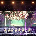 [2019예산] 전통시장에서 K-팝 스타와 춤을!