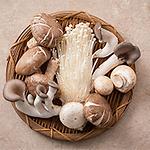 자연의 향 가득한 버섯의 종류와 효능