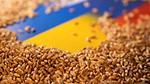 우크라이나, 흑해 곡물 이니셔티브 협정 현황 및 전망