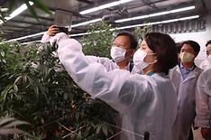 이영 중소벤처기업부 장관이 지난해 9월 경북 안동에 위치한 헴프 규제자유특구를 방문해 산업용 헴프 재배 실증 현장을 살펴보고 있다.  