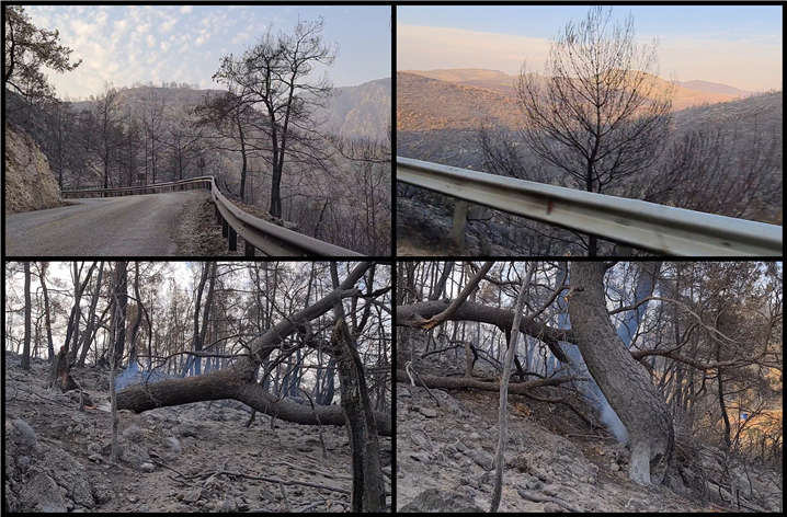 <무을라주 지역 화재로 산림이 불탄 모습 – 출처 : 통신원 촬영>