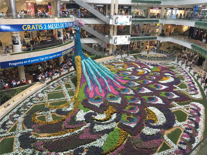 <축제 기간에 꽃으로 장식된 쇼핑몰 - 출처 : 통신원 촬영>