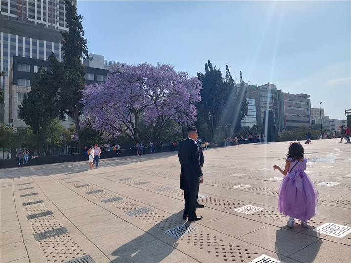 <따뜻한 보랏빛 봄의 멕시코 시티의 혁명의 광장. 뒤편에 보이는 보라색 꽃과 보라색 옷을 입은 소녀>