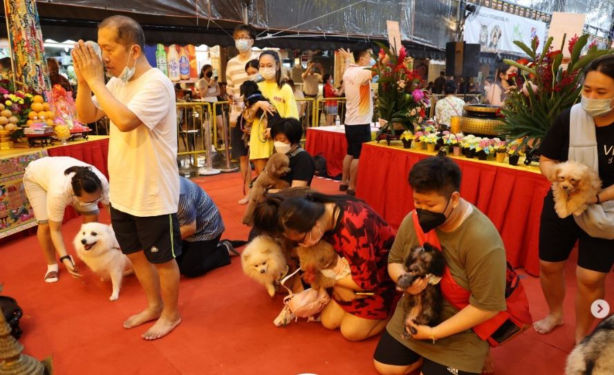 <반려동물들의 축복을 받기 위해 같이 동행한 사람들 – 출처: 인스타그램 @zaobaosg>