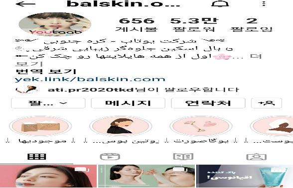 <한국 화장품을 판매하는 Balskin 온라인 매장 - 출처 : Balskin 인스타그램>