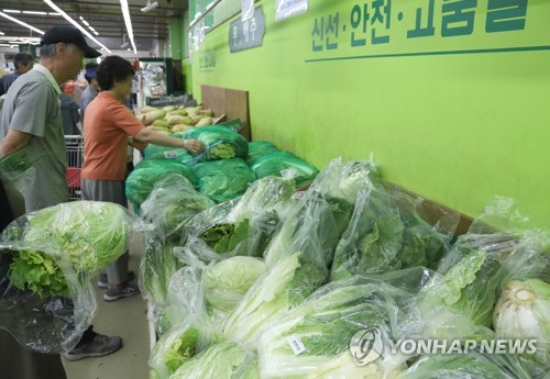 배추·무 가격 계속 내림세…정부, 한달간 소비촉진 나선다