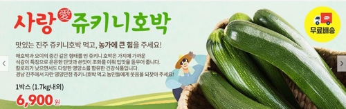 태풍의 나비효과?…주키니·애호박 가격폭락에 농민 울상